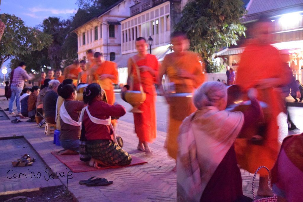 Ofrendas Luang Prabang