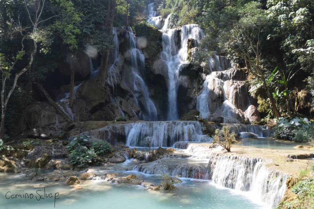 Kuang si - Viajar por Laos