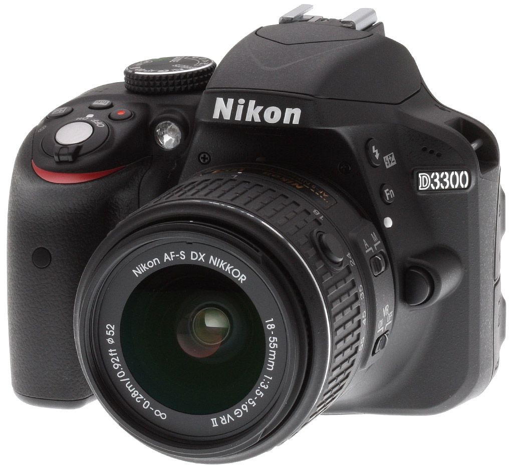 D3300