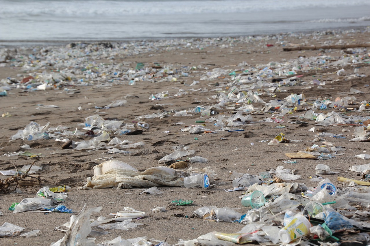 Paraíso envuelto en plástico El plástico en el mundo