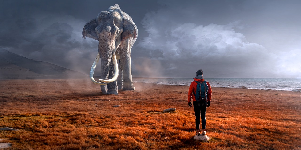Elefante Turismo responsable con animales