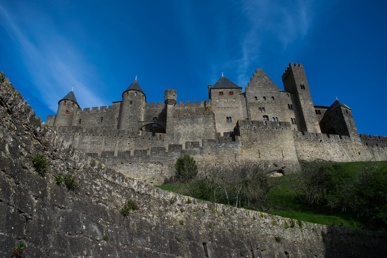 Castillo de Carcassonne Carcassonne