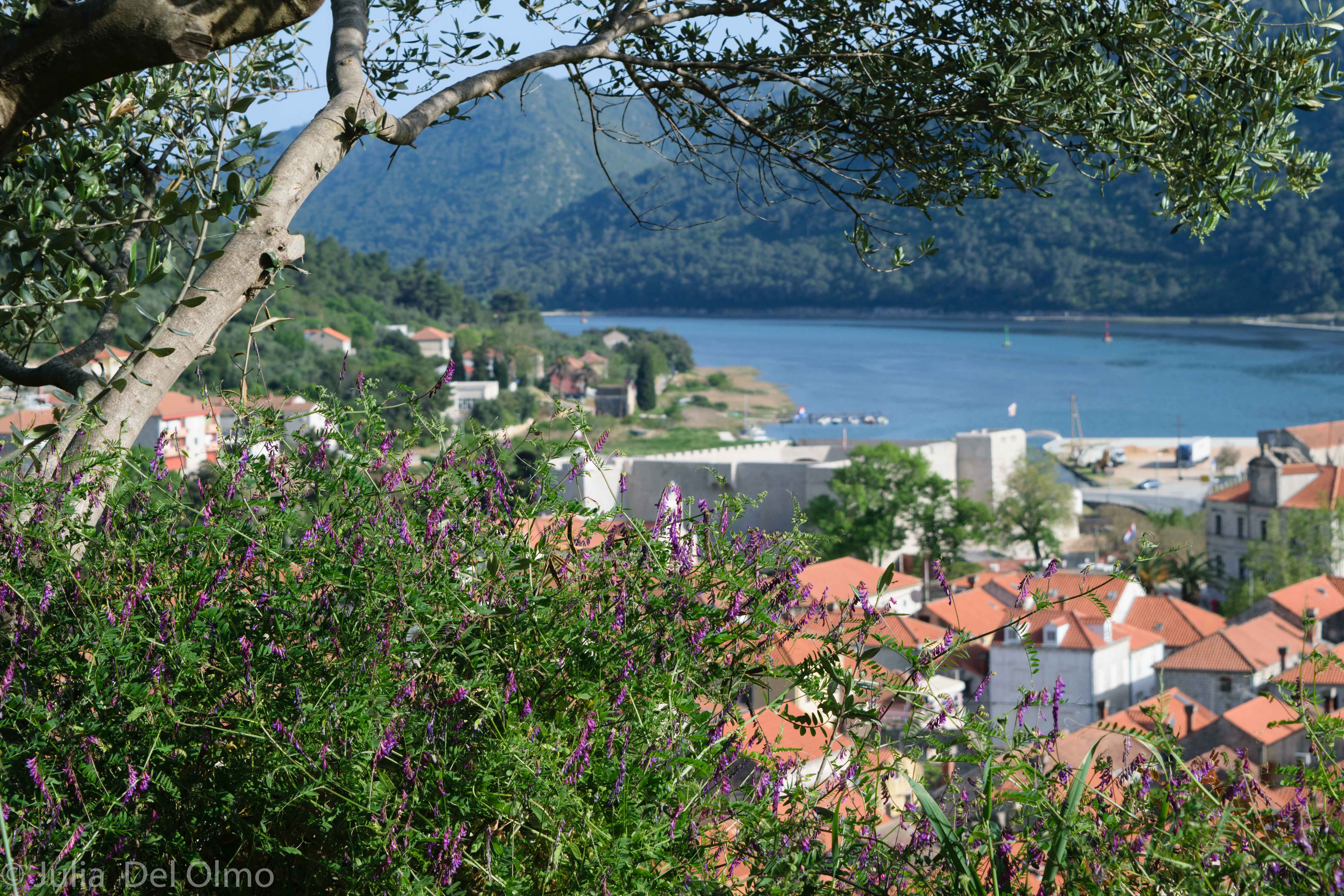 Croacia Pueblo croata