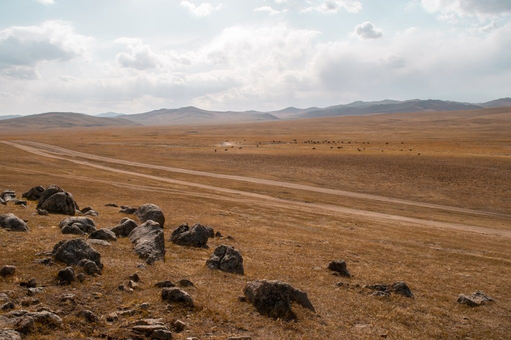Estepa de Mongolia