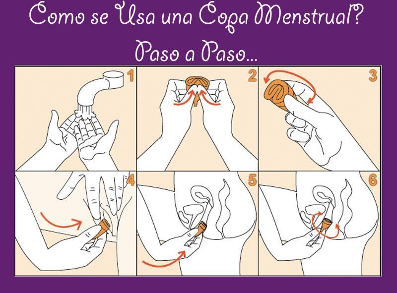 copa-menstrual_como-se-usa