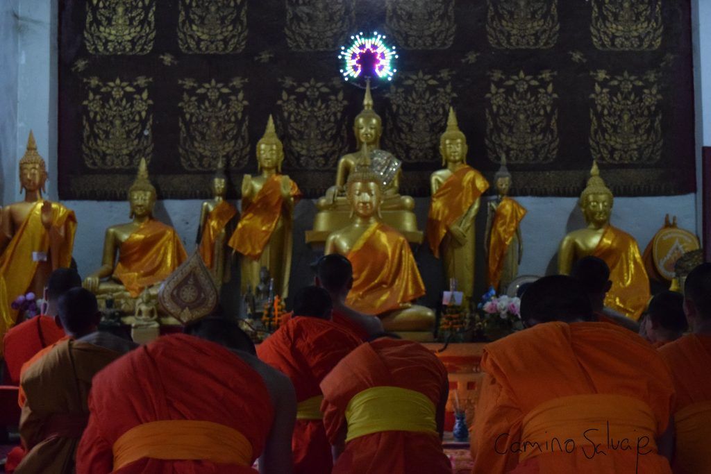 Monjes rezando en Luang Prabang