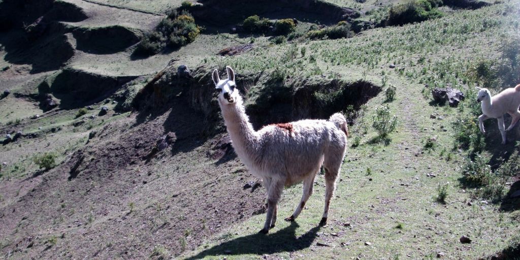 Turismo vivencial en los andes peruanos